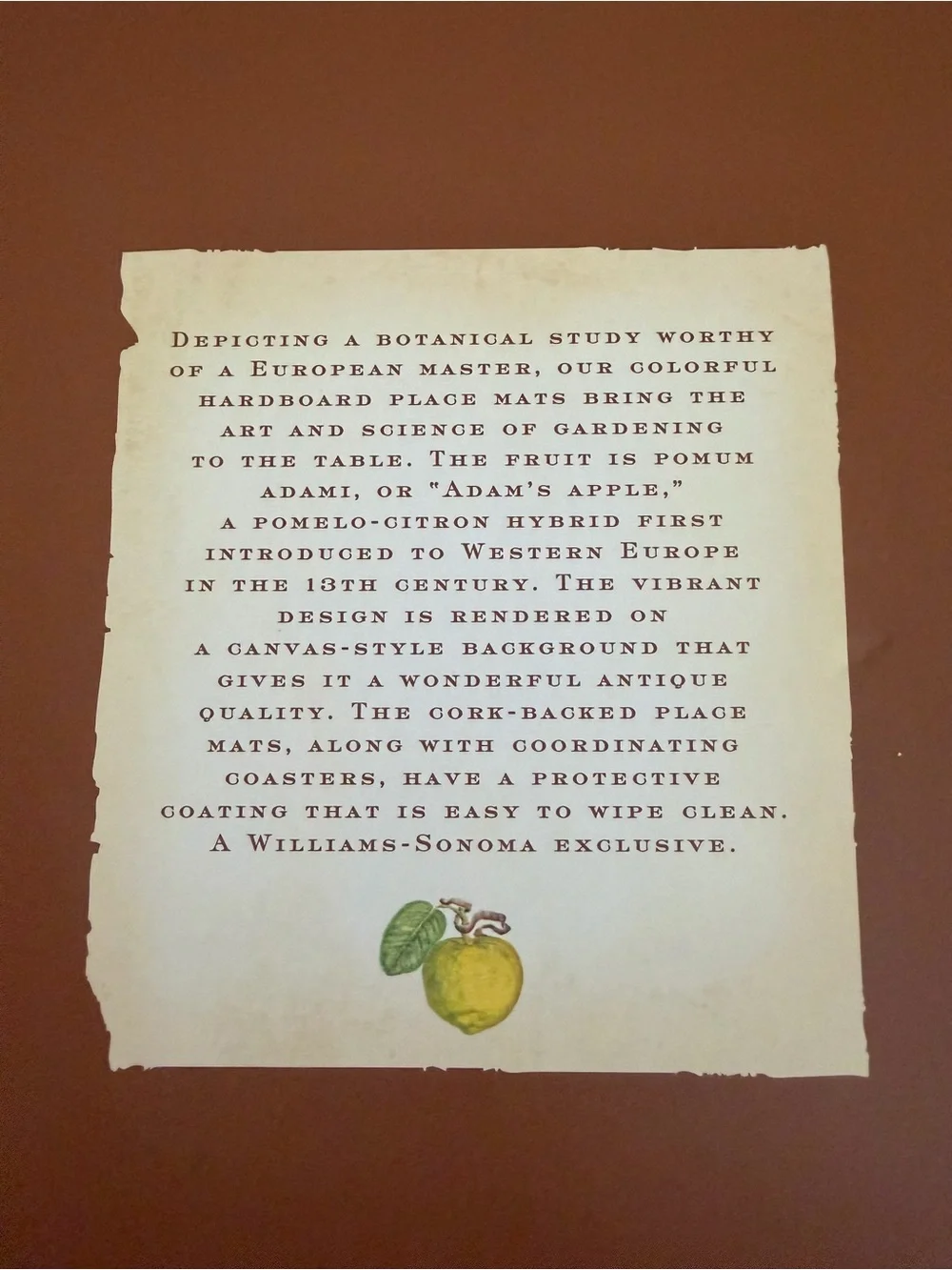 Williams Sonoma Cork Backed Placemats Lemon Fruit Adami Pomvm Set of 4 Rectangle